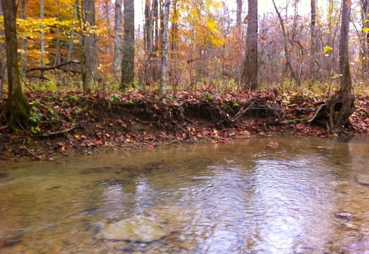 Sheltowee Trace, Clear Creek Furnace - 18